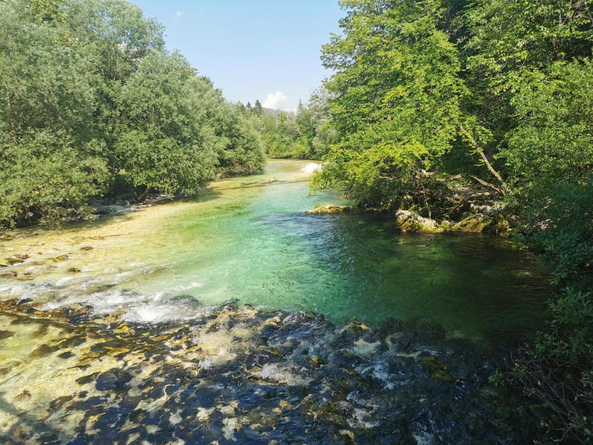Apartma Neva Bohinj Exteriör bild