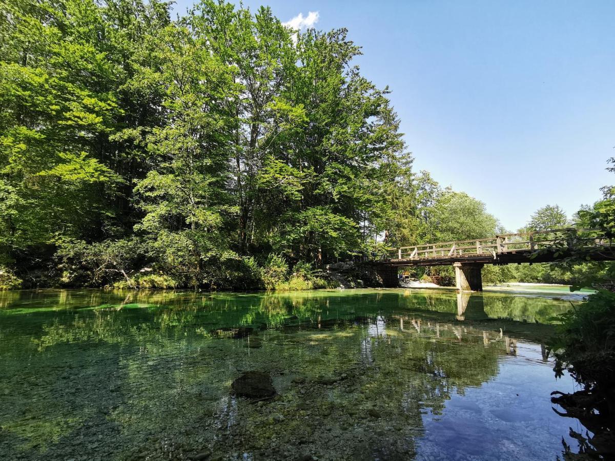 Apartma Neva Bohinj Exteriör bild