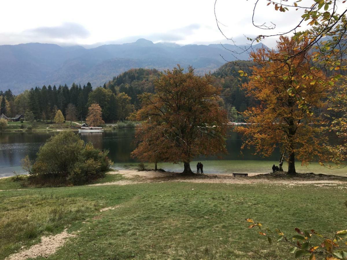 Apartma Neva Bohinj Exteriör bild